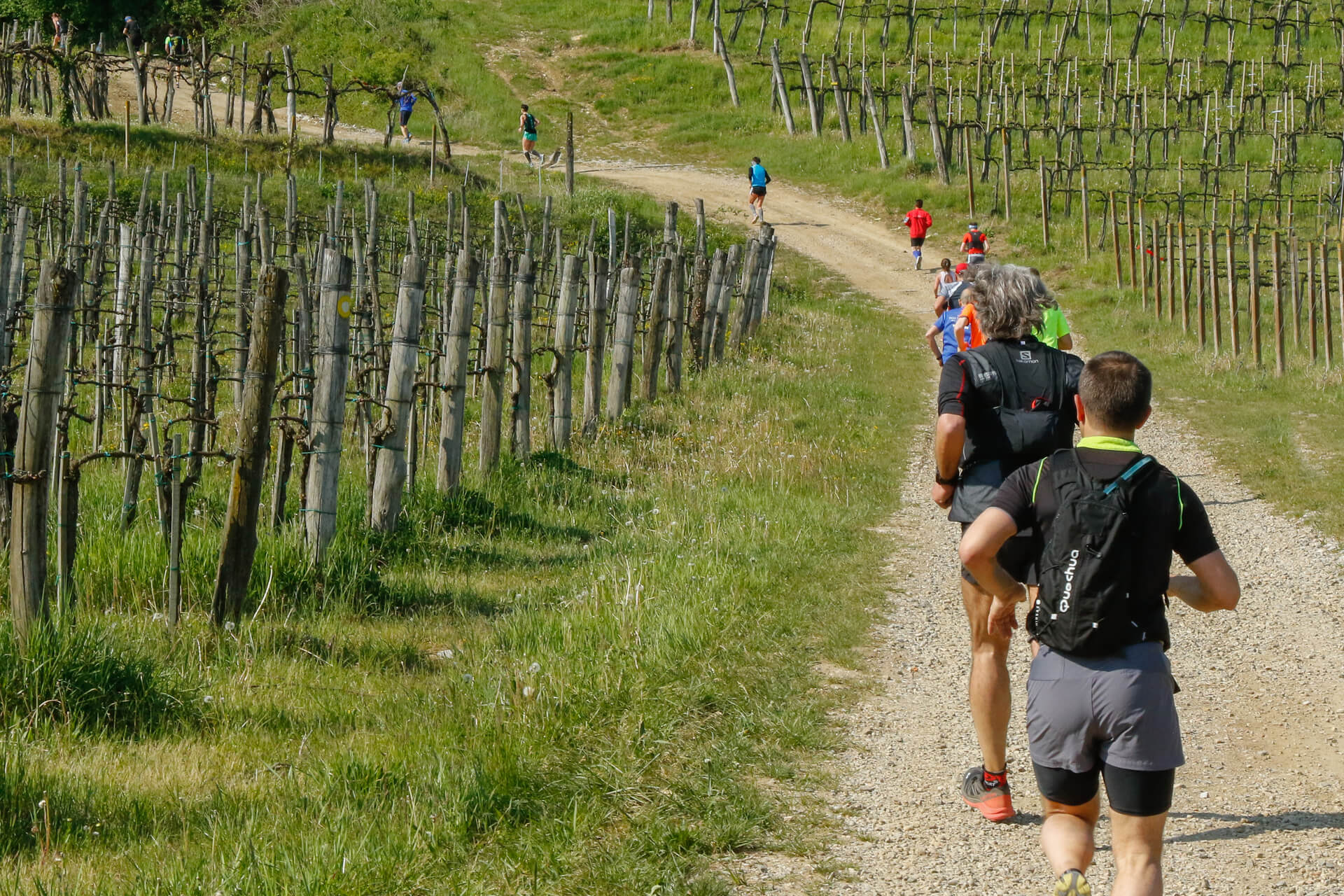 Ecomaratona Trail del Collio 2017 foto Danilo Tiussi (94)