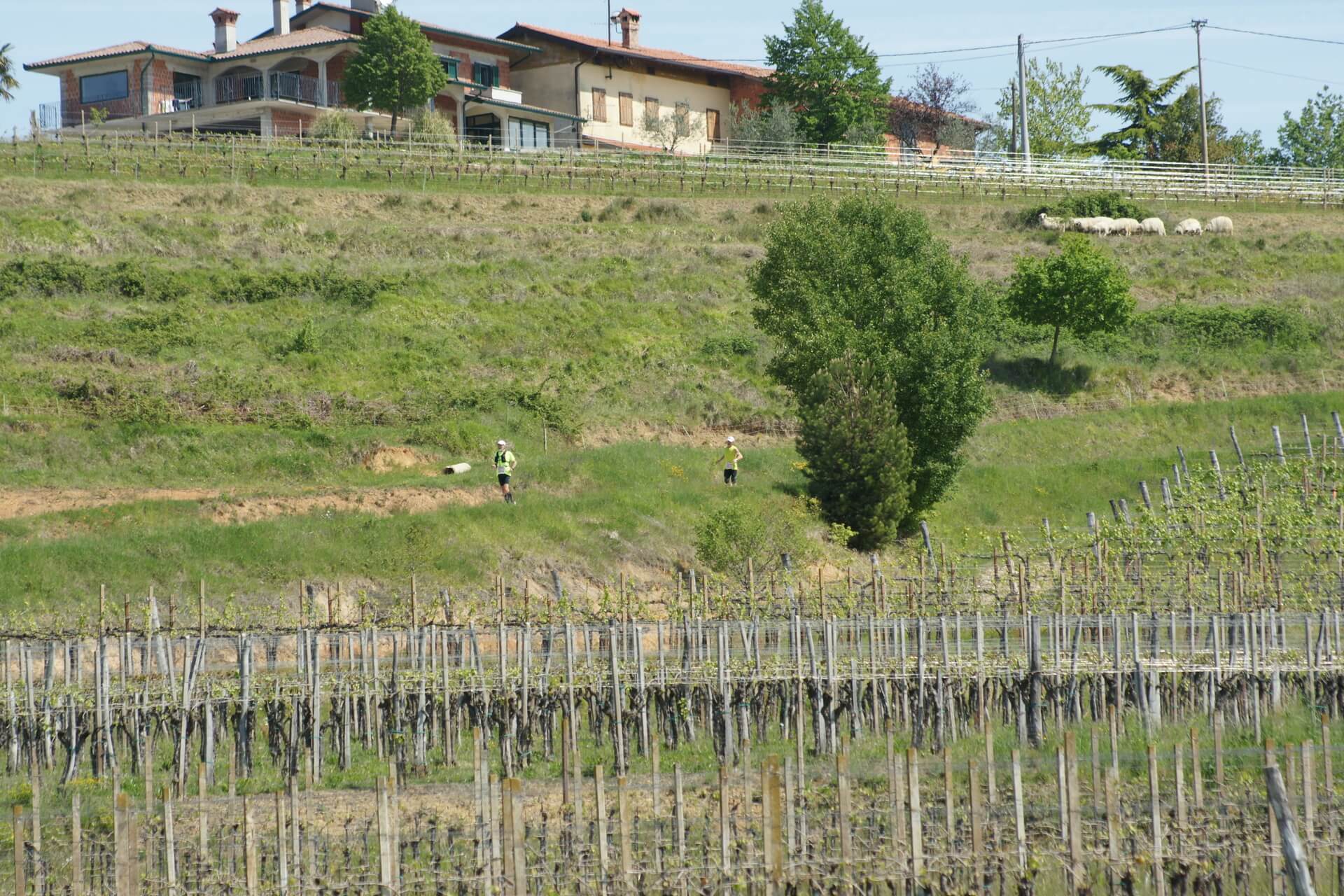 passaggio in Slovenia ecomaratona